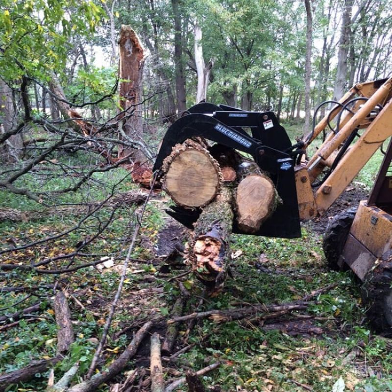 Blue Diamonds Severe Duty Root Grapple being used to carry 4 logs at once.