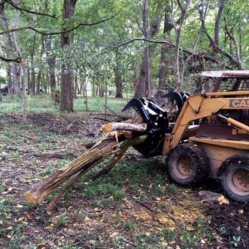  Blue Diamonds Severe Duty Root Grapple being used on Case skid Steer to Move logs and bush
