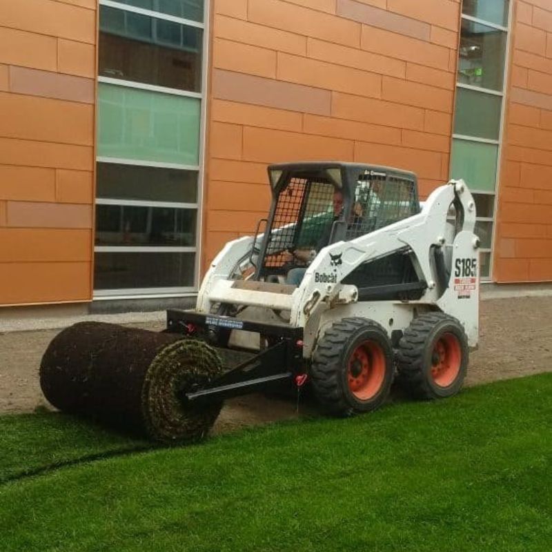 White Bobcat skid steer rolling fresh sod with a Blue Diamond sod roller attachment