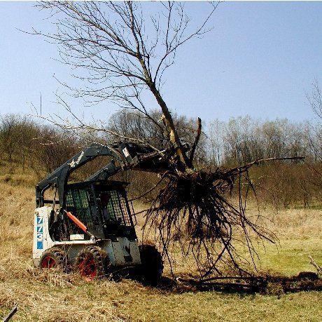 Skid Steer in Action with the Tree Puller Attachment from Berlon Industries Tree Puller Berlon Industries