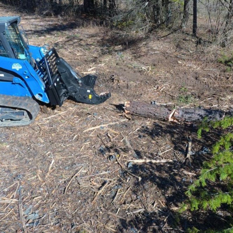 skid steer with the blue diamond tree shear in action