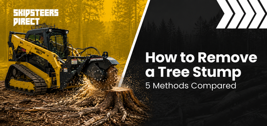 How to Remove a Tree Stump: 5 Methods Compared