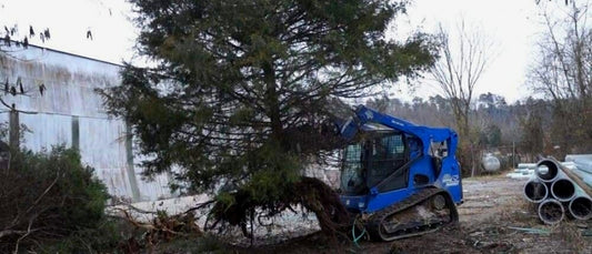 Best Skid Steer Tree Puller