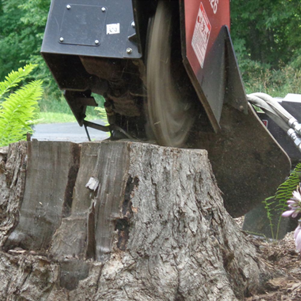 Stump Grinder | Bradco