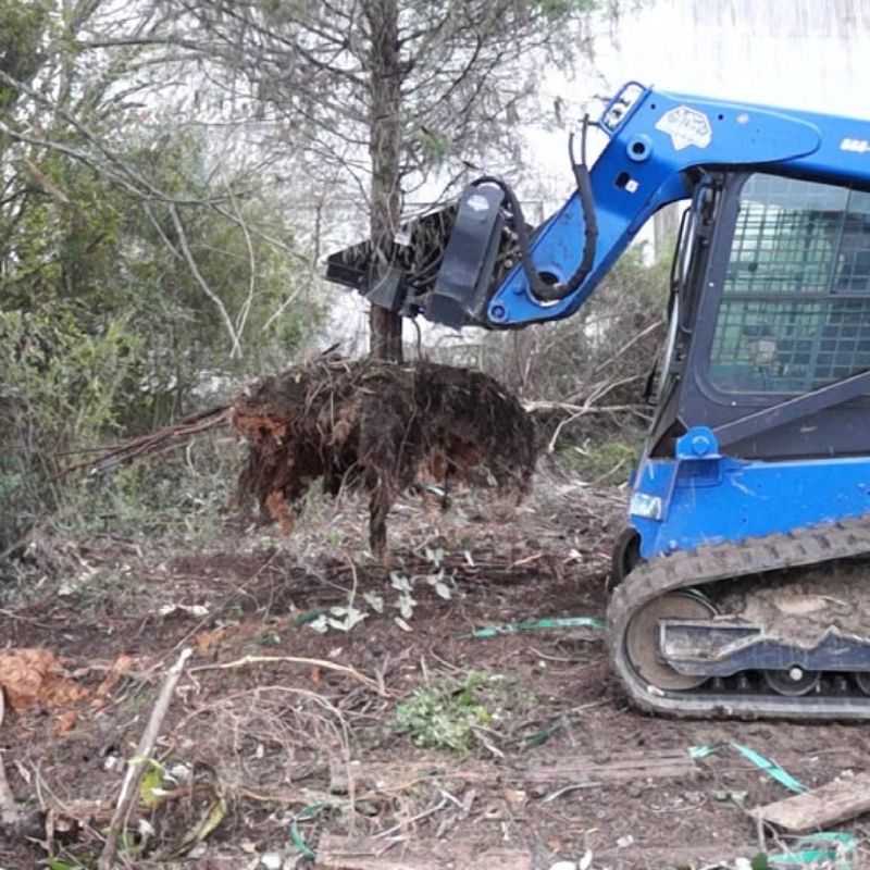 Tree taken off the ground using the Blue Diamond tree puller attachment