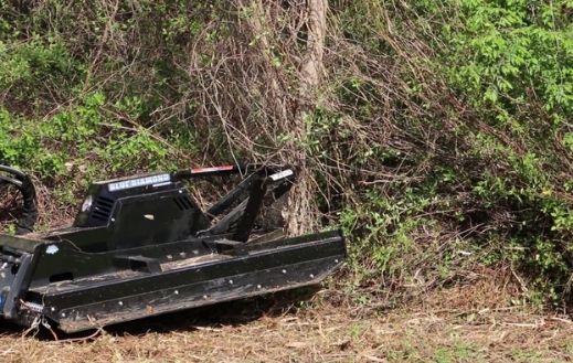 Cutting small trees with the Blue Diamond brush cutter attachment in the forest