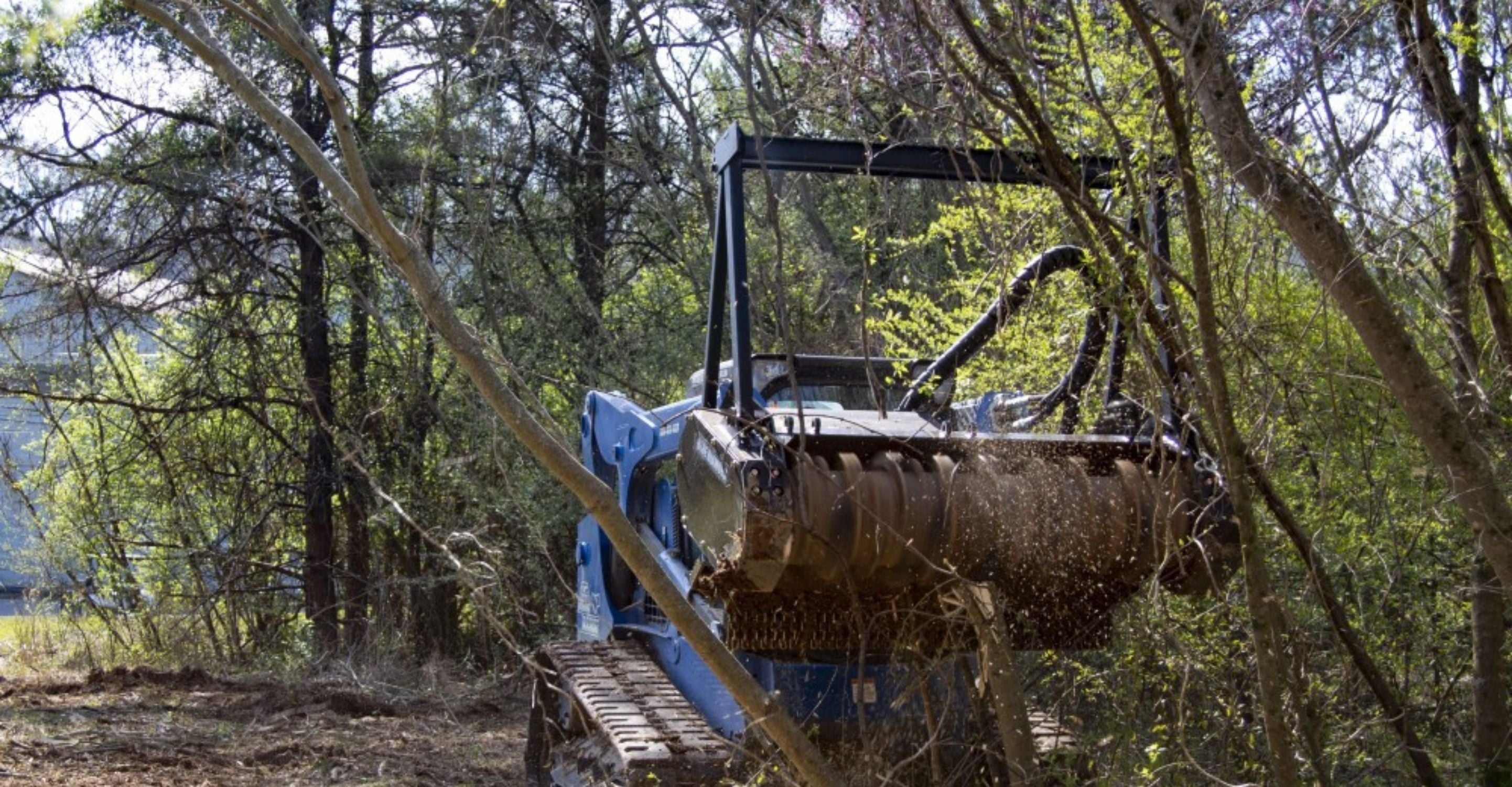 Mulching trees with the blue diamond drum mulcher attachment in the forest