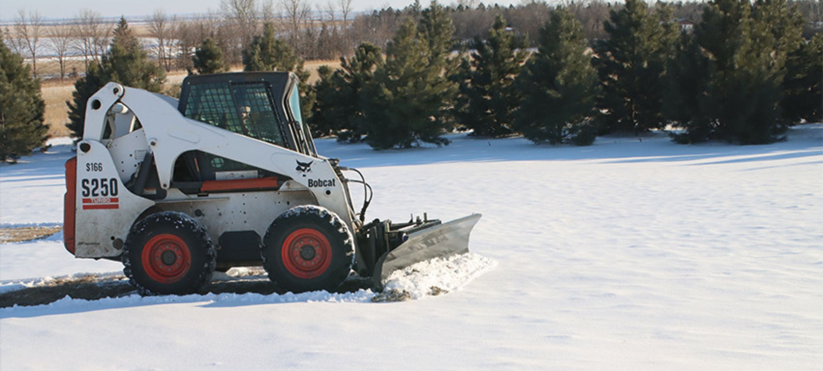 bobcat in the field using the snowplow attachment