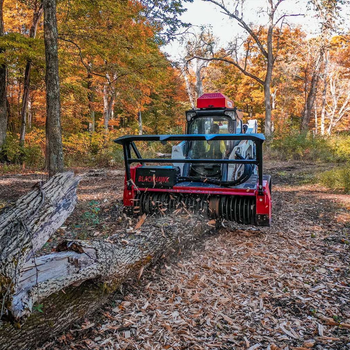 bobcat t770 with fecon blackhawk mulching tree