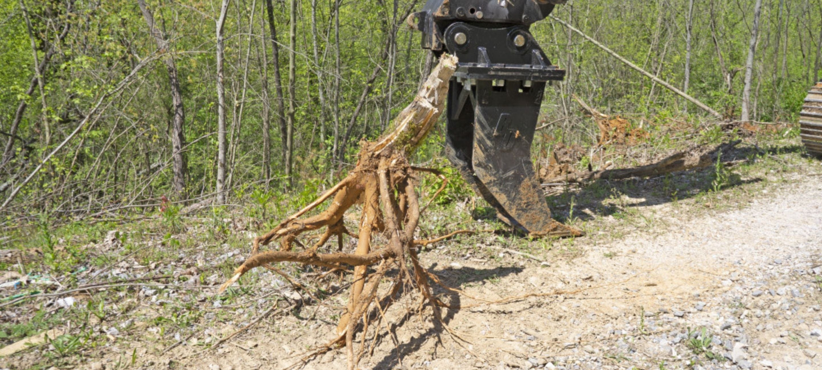 Tree grubber attachment grabbing roots with the use of excavator. 