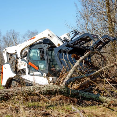 fecon-redline-bg84-grapple-grabbing-tree