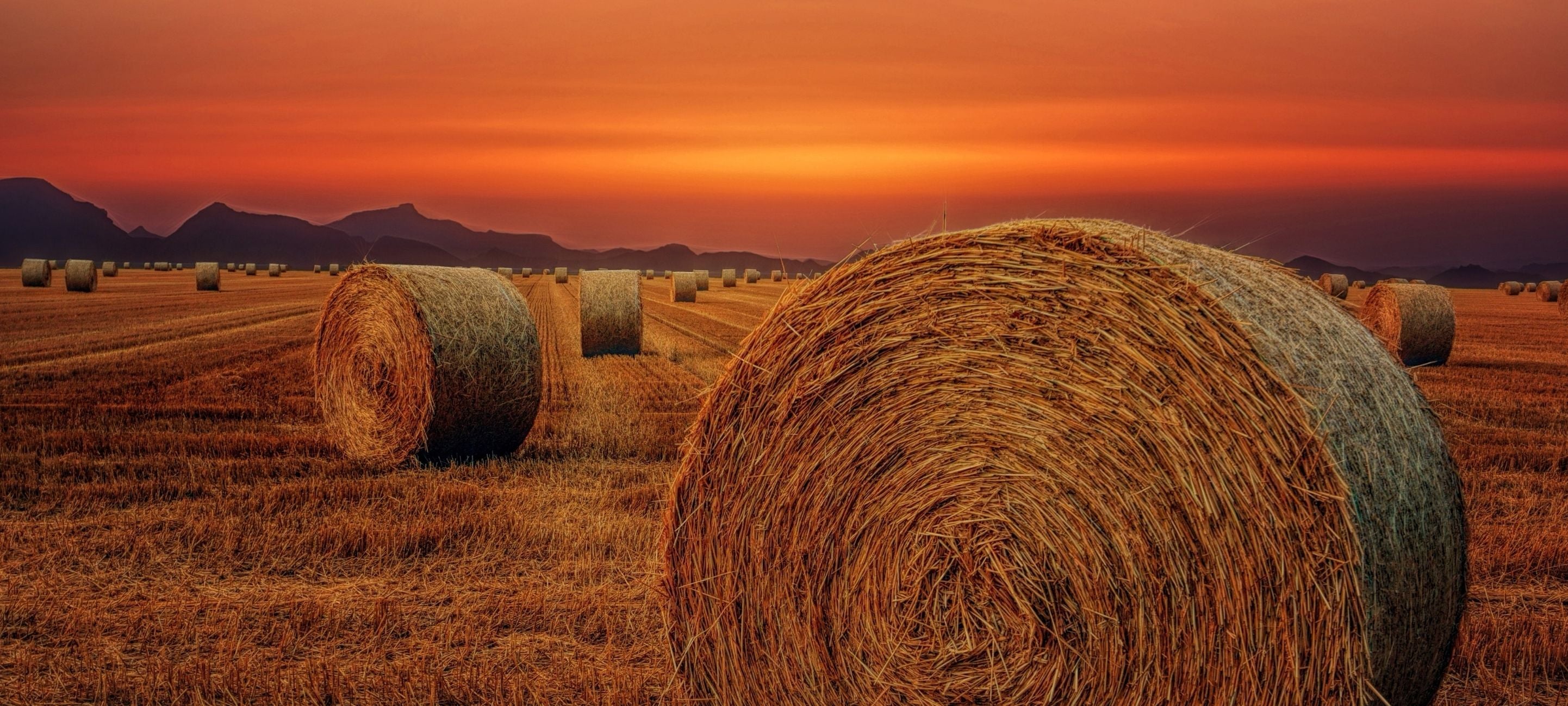 Bale spear attachment for the hay field. 