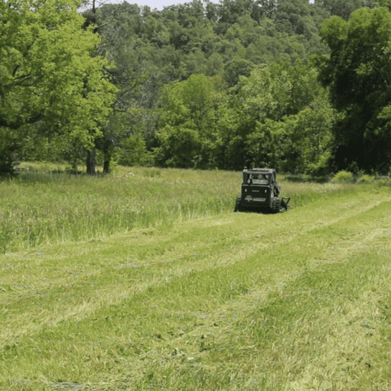 blue diamond severe duty brush cutter in the field