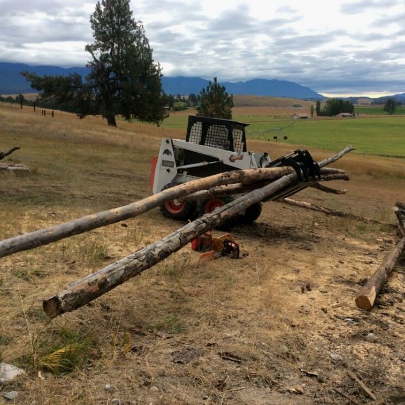 Blue diamond light duty grapple bucket attached to bobcat skid steer moving logs