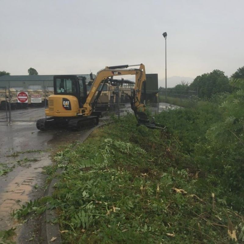 cat mini excavator using the blue diamond brush cutter