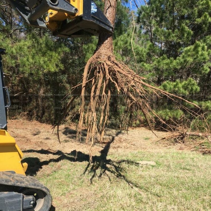 blue diamond tree puller attachment in action with roots removed