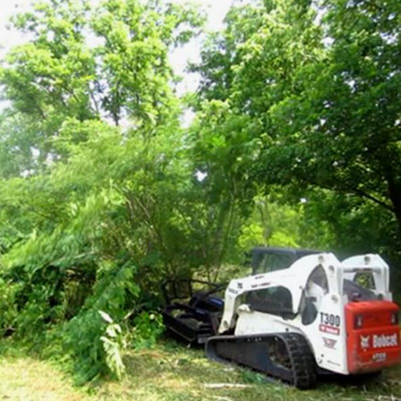 Bobcat in use with the Blue Diamond Brush Cutter Extreme Duty Open Front attachment