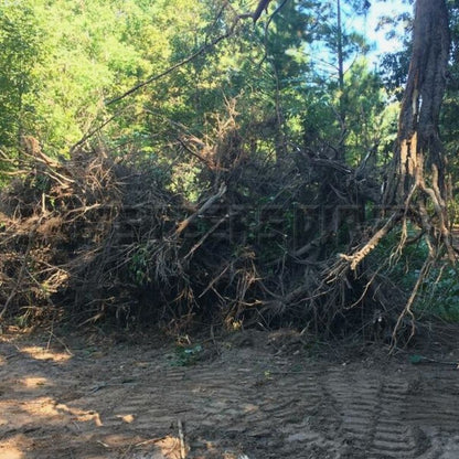 tree roots pulled by the blue diamond tree puller attachment in the forest